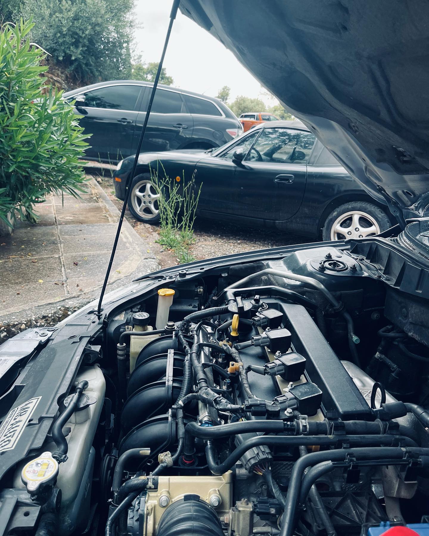 NC2 2.0 Turbo — DMS Kit