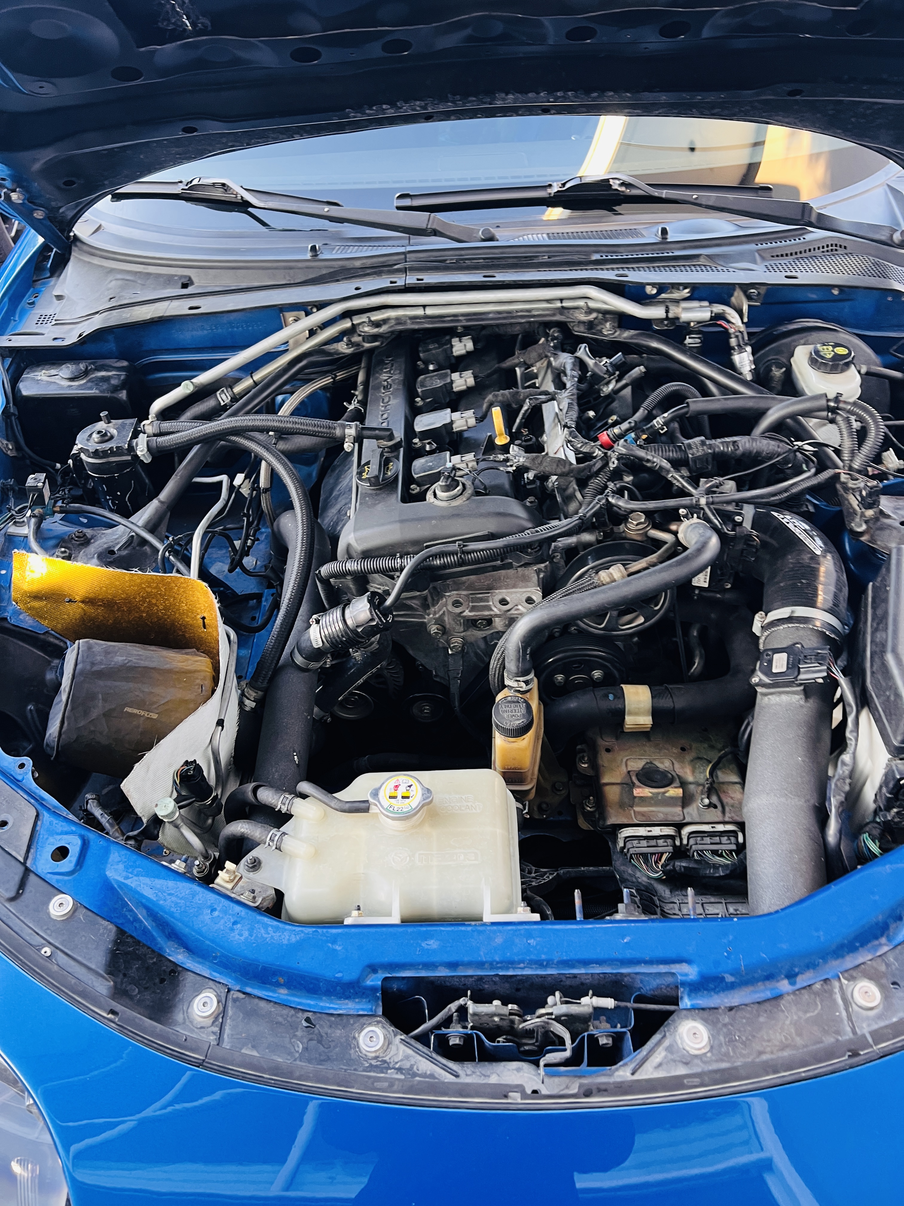 Ford Focus ST